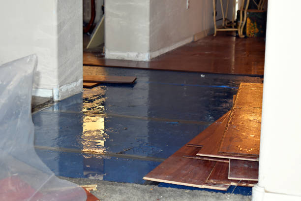 Professional Water Damage Restoration technician working in Hubbard, OR